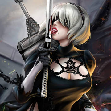 Nier 2b