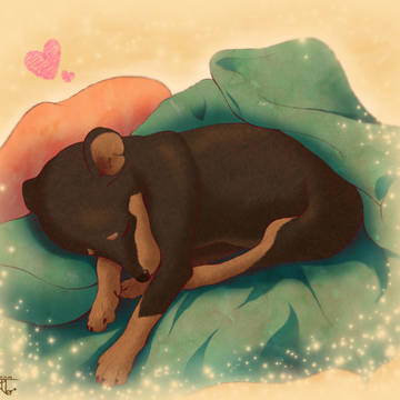 子犬