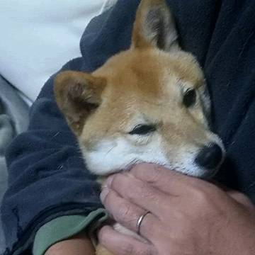 コロナ禍で