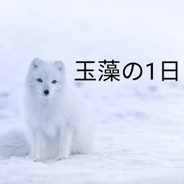 玉藻の1日～玉藻BDCD2021