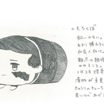 めいじもち