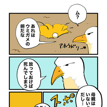 そらとぶウミガメ