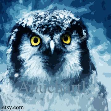 Owl Bird Wildlife Digital Art