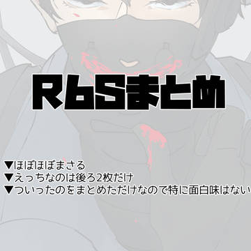 R6Sまとめ