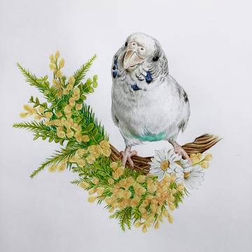 花と鳥
