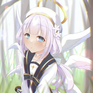 ワンダーシャッフェンの法則