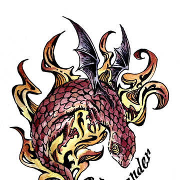 Salamander