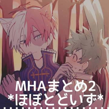 MHAまとめ2