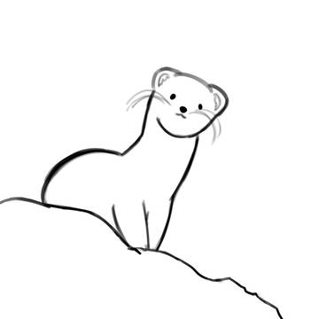 polecat