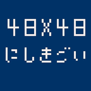 48*48錦鯉