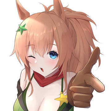 タイキシャトル