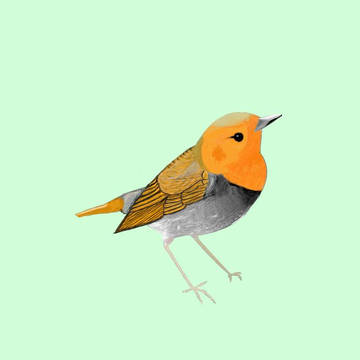 こまどりうむくん