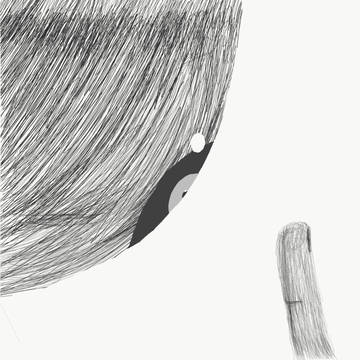 observing