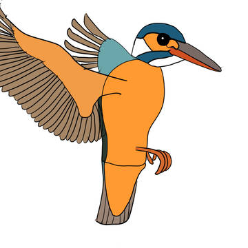 Kingfisher