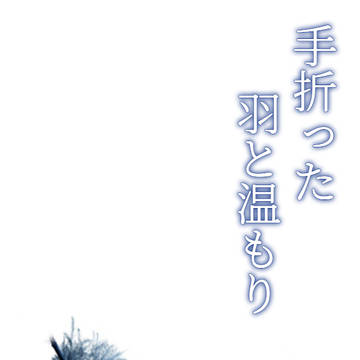 小説『手折った羽根と温もり』