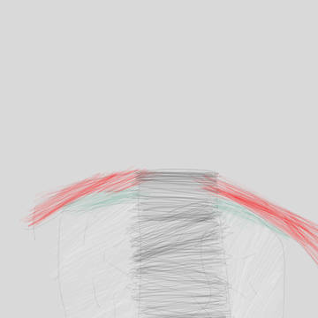 マグロの握り