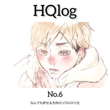 HQ log No.6