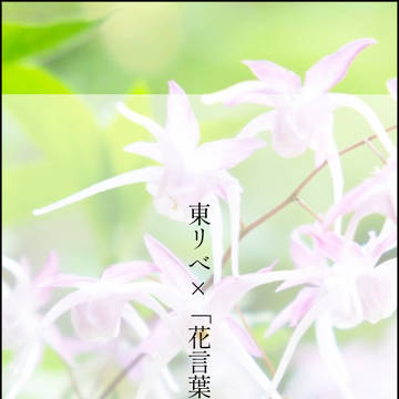 ×誕生花