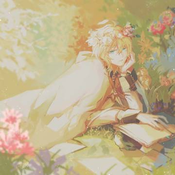 🌺