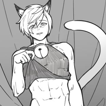 一张猫男色图