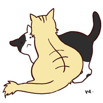 ねこちゃん