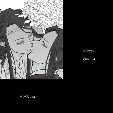 MDZS Log1