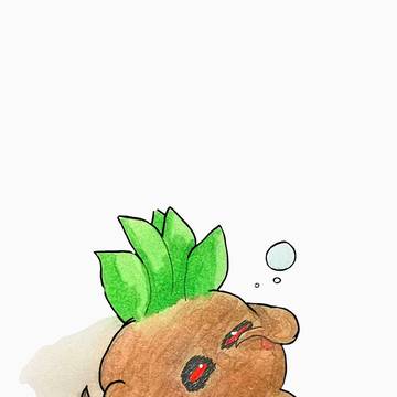 SQシリーズのマンドラコラ