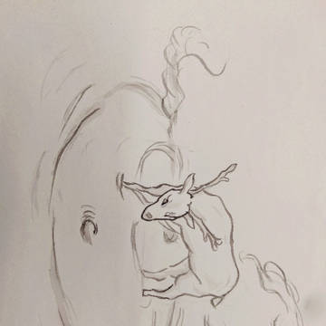 阴阳鹿