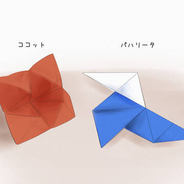 ココット　と　パハリータ