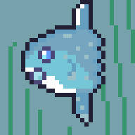 マンボウ
