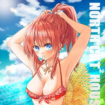 COMITIA138 新刊表紙