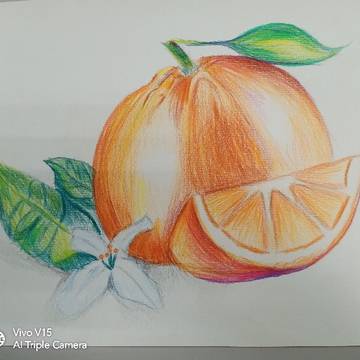 オレンジ