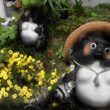 庭に赤ピクミンいた