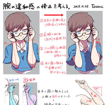 前腕の形状について考える