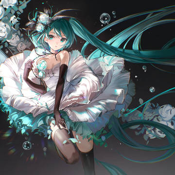山茶花