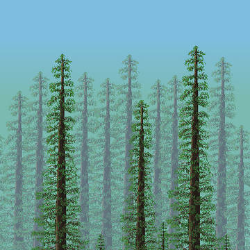 Cold Forest background