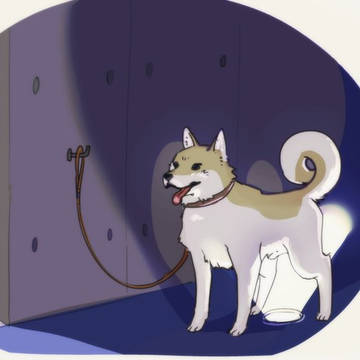 ムコQさんぽ日記