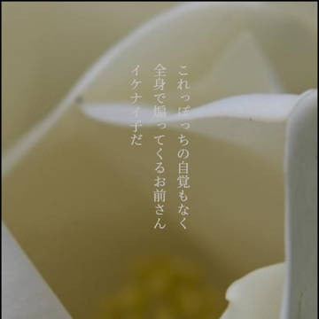 30字ss II