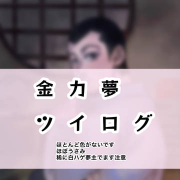 金カ夢ログ※キャプション必読