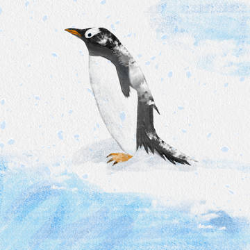 ジェンツーペンギンさん