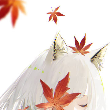 秋---凯猫猫