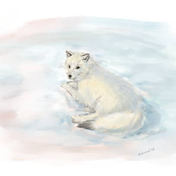 雪中