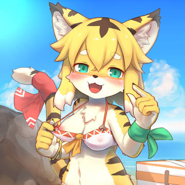 まとめ⑫