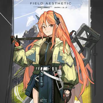 Field Aesthetic