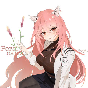帕斯卡