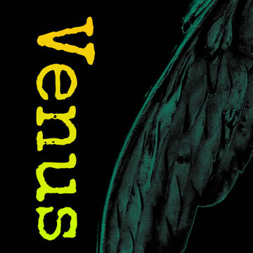 新刊サンプル「VENUS」エアブー1212
