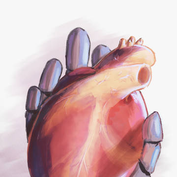 A Fullmetal heart
