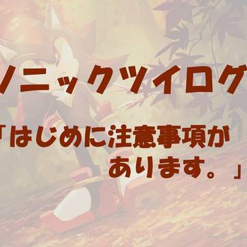 ソニックツイログ4