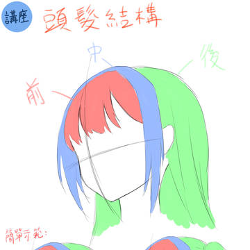 髪の構造