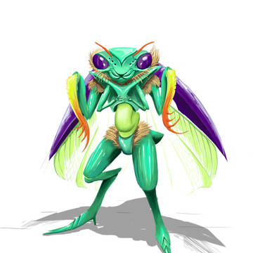 Insect